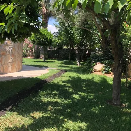 Lara Villa